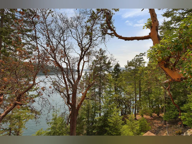 330 East West Road, Mayne Island, BC, V0N 2J2 - 60