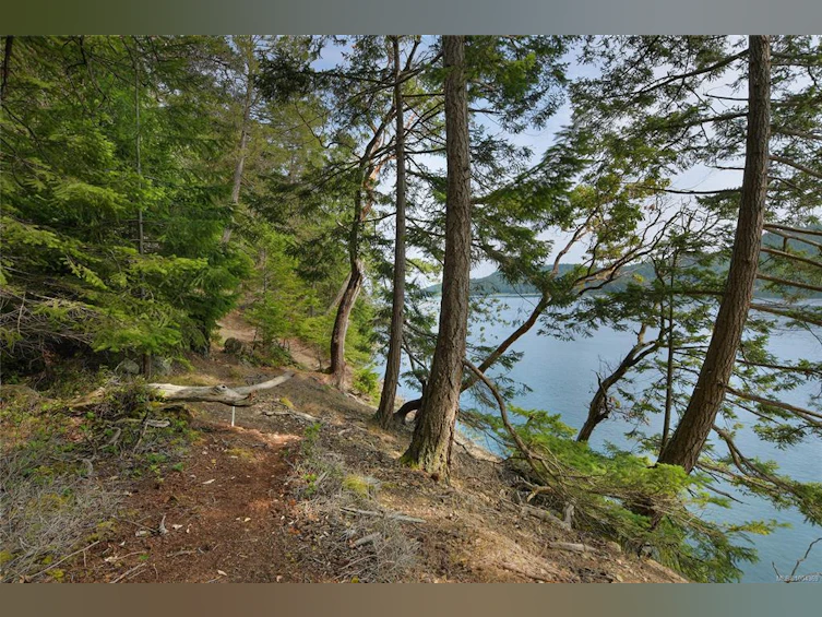 330 East West Road, Mayne Island, BC, V0N 2J2 - 51