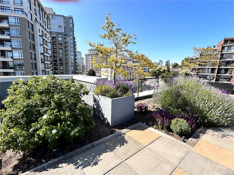 A509-810 Humboldt Street, Victoria, BC, V8V 5B1 - 25