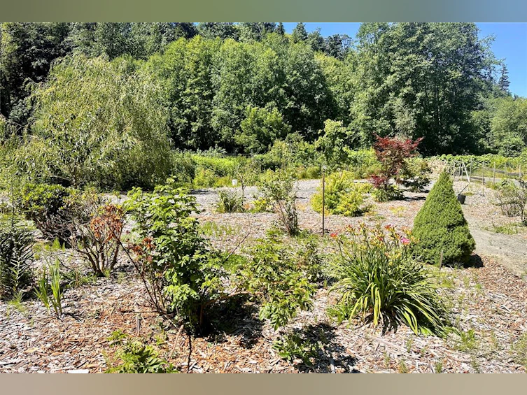 1165 Salmon River Main, Kelsey Bay/Sayward, BC, V0P 1R0 - 76