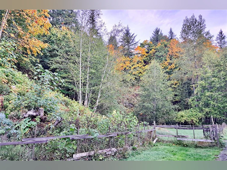 1165 Salmon River Main, Kelsey Bay/Sayward, BC, V0P 1R0 - 71