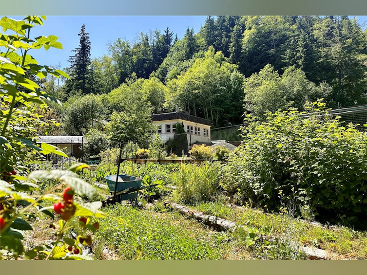 1165 Salmon River Main, Kelsey Bay/Sayward, BC, V0P 1R0 - 74