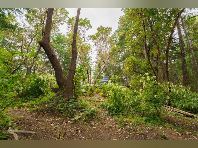 Lot 80 Ruxton Island, Ruxton Island, BC - 47