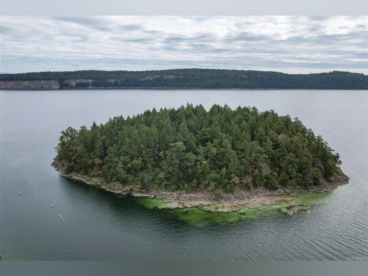 Lot 19 Ruxton Island, Ruxton Island, BC - 7
