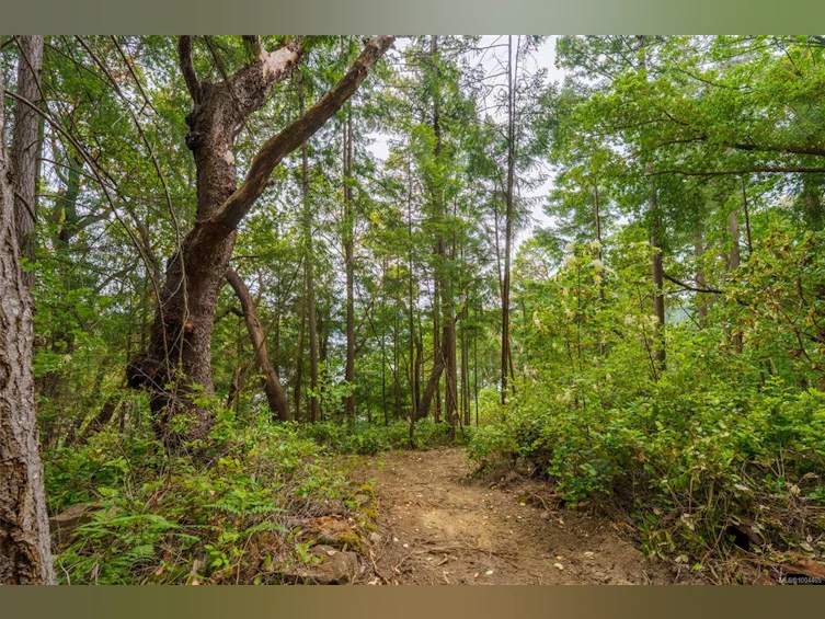 Lot 19 Ruxton Island, Ruxton Island, BC - 11