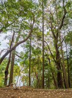 Lot 19 Ruxton Island