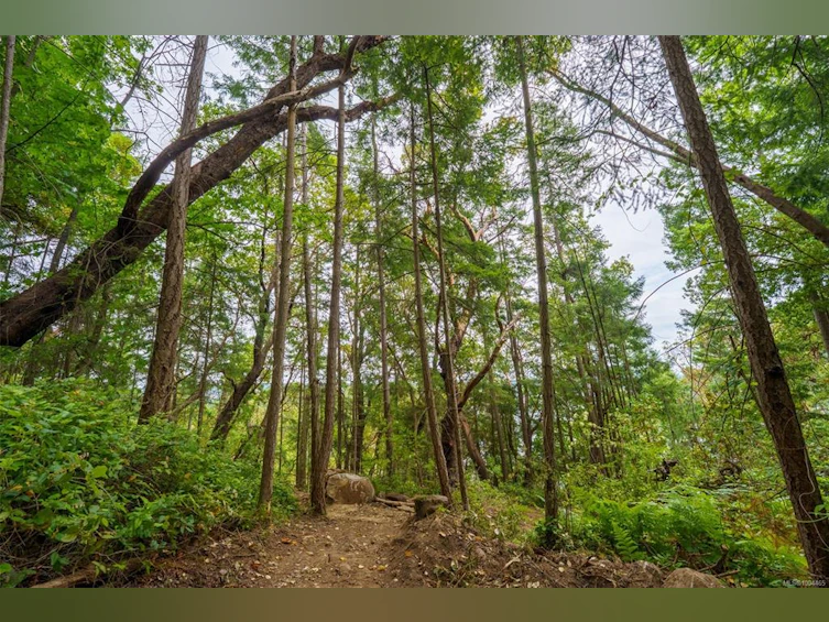 Lot 19 Ruxton Island, Ruxton Island, BC - 5