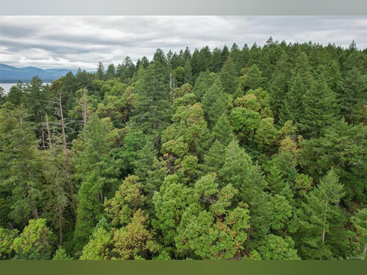 Lot 19 Ruxton Island, Ruxton Island, BC - 8