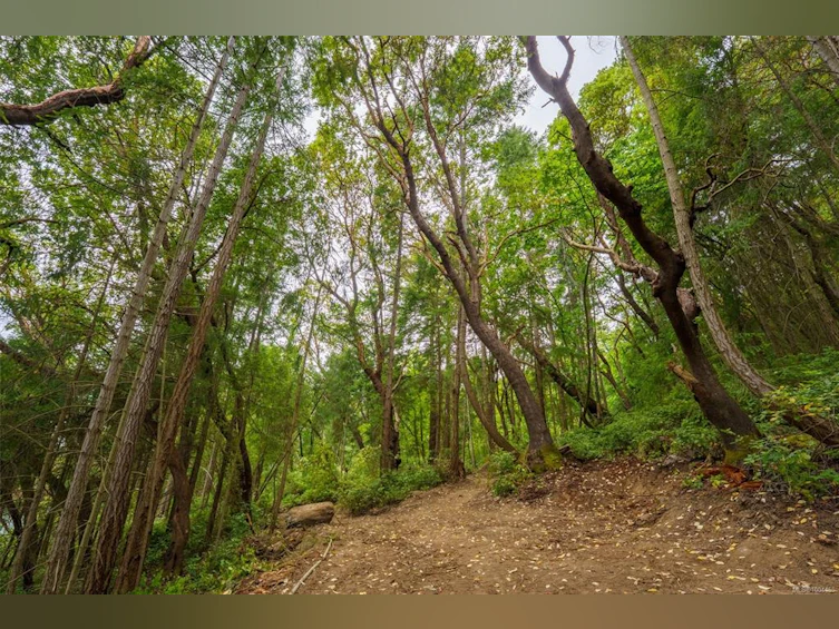 Lot 19 Ruxton Island, Ruxton Island, BC - 17