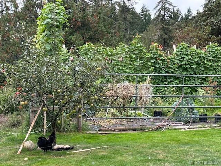3744 Gibbins Road, Duncan, BC, V9L 6E8 - 50