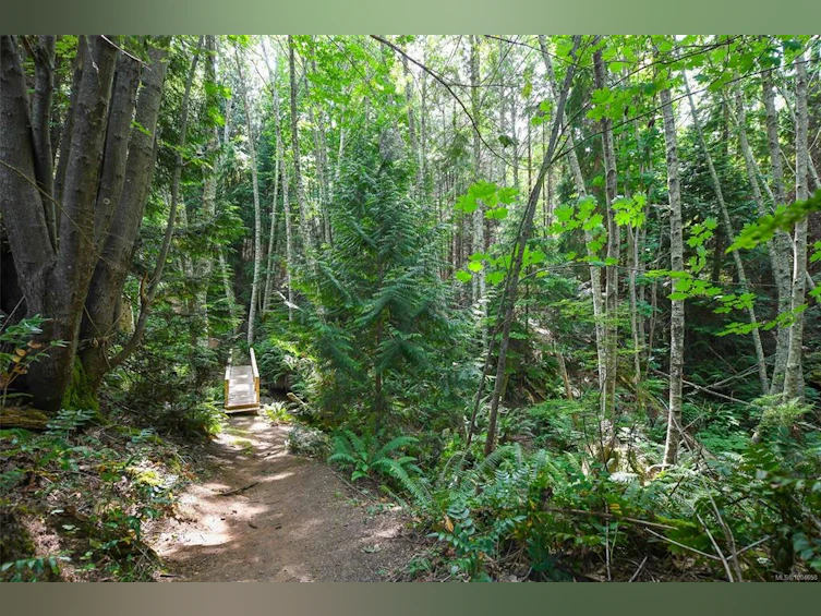 5340 Gainsberg Road, Bowser/Deep Bay, BC, V0R 1G0 - 29