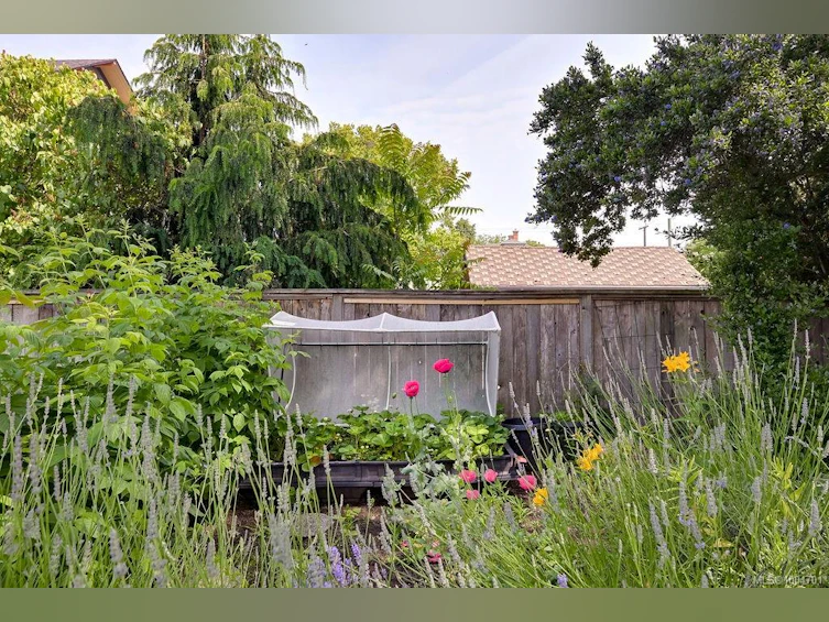 B-609 Su'it Street, Victoria, BC, V8V 4C3 - 53