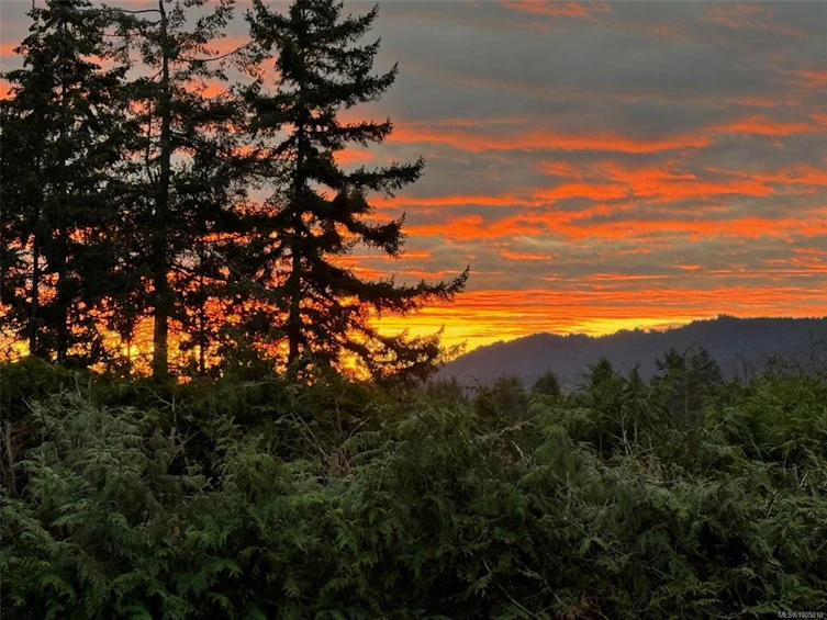 2427 Armstrong Crescent, Nanoose, BC, V9P 9J9 - 26