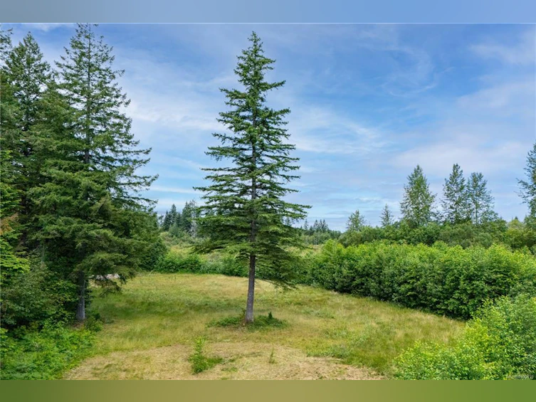 3815 Woodland Drive, Campbell River, BC, V9H 1B1 - 53