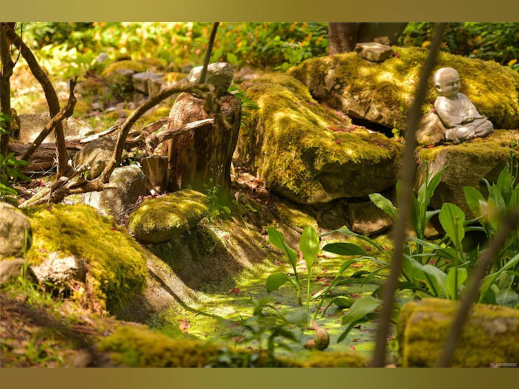513 Cedar Hill Road, Mayne Island, BC, V0N 2J1 - 48