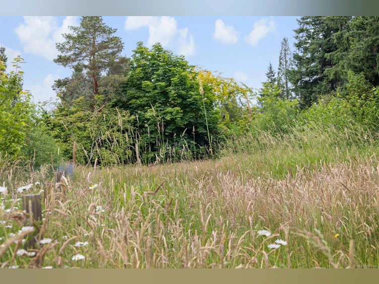 Lot B Cathy Crescent, Courtenay, BC, V9N 7G2 - 9