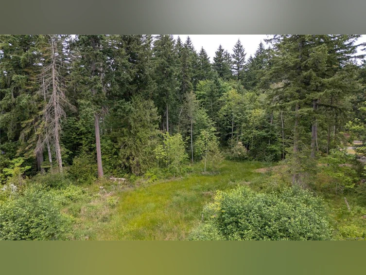 Lot B Cathy Crescent, Courtenay, BC, V9N 7G2 - 6