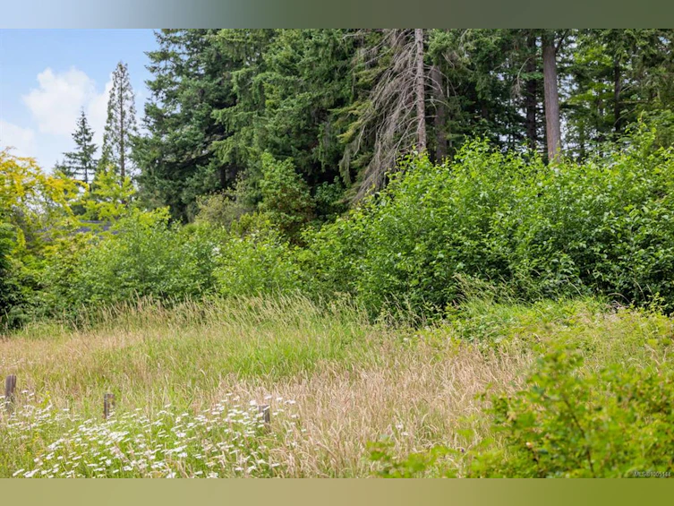 Lot B Cathy Crescent, Courtenay, BC, V9N 7G2 - 13