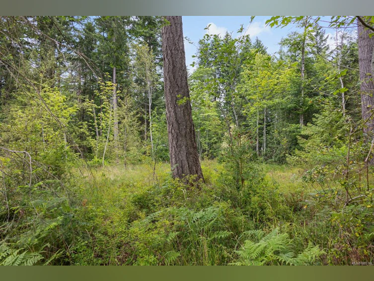 Lot B Cathy Crescent, Courtenay, BC, V9N 7G2 - 10