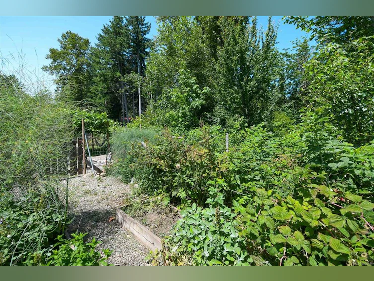 7452 Cougar Smith Road, Fanny Bay, BC, V0R 1W0 - 34