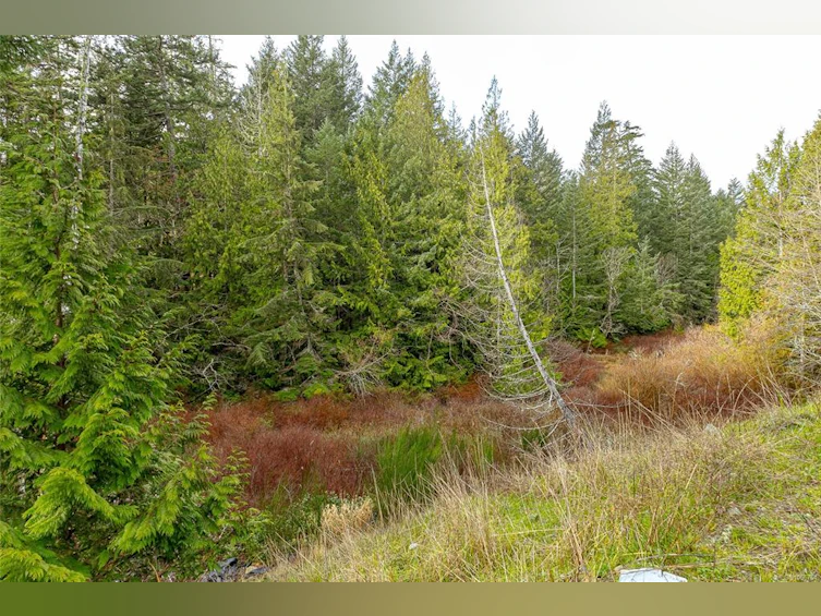 471 Seedtree Road, Sooke, BC, V9C 1Z2 - 35