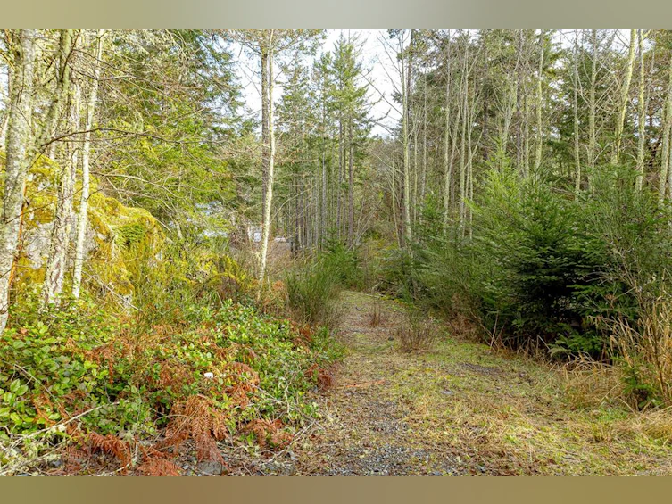 471 Seedtree Road, Sooke, BC, V9C 1Z2 - 38