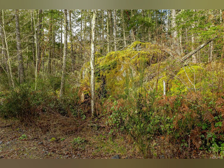 471 Seedtree Road, Sooke, BC, V9C 1Z2 - 37