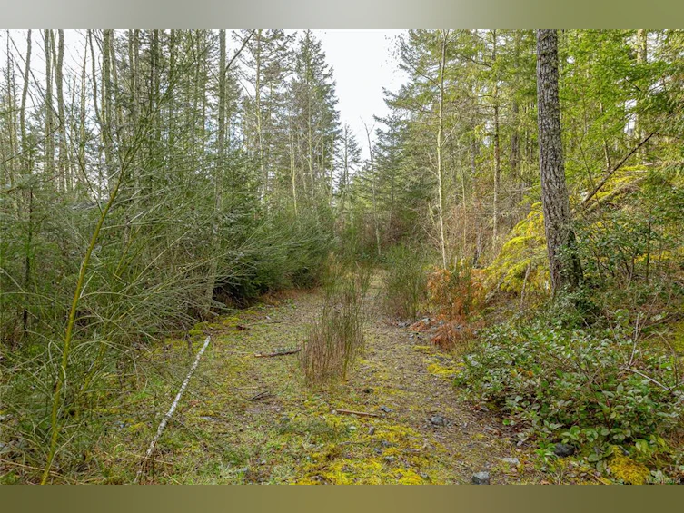 471 Seedtree Road, Sooke, BC, V9C 1Z2 - 36