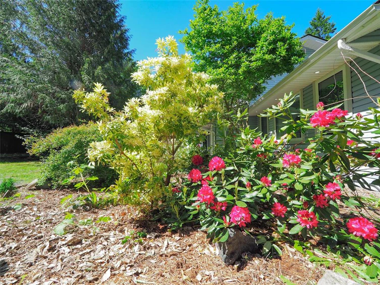 4621 Berbers Drive, Bowser/Deep Bay, BC, V0R 1G0 - 63