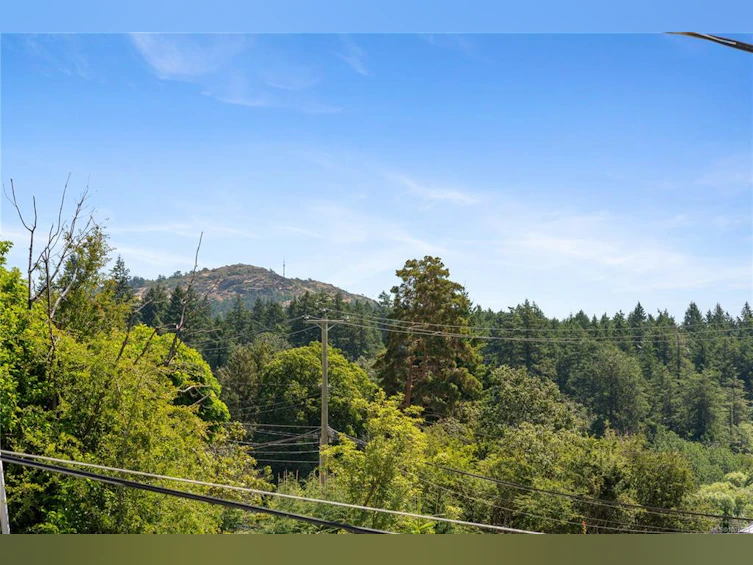 854 Royal Oak Avenue, Saanich, BC, V8X 3T2 - 45