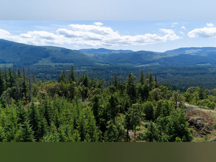 5876 Stoltze Road, Lake Cowichan, BC, V9L 6H7 - 15
