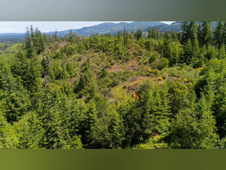 5876 Stoltze Road, Lake Cowichan, BC, V9L 6H7 - 31