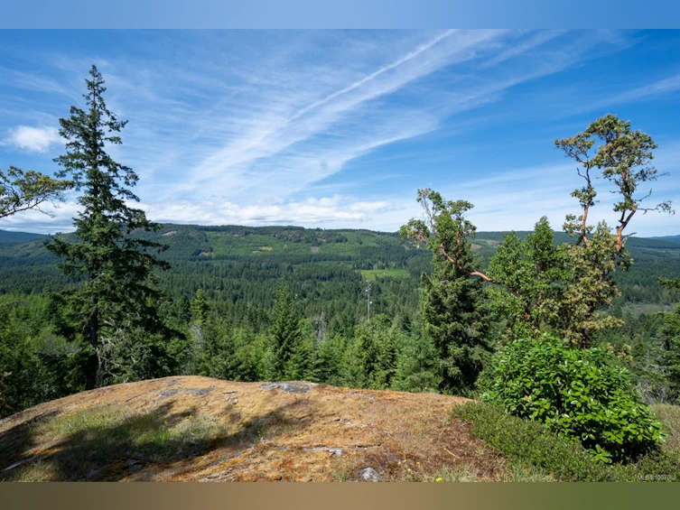 5876 Stoltze Road, Lake Cowichan, BC, V9L 6H7 - 7