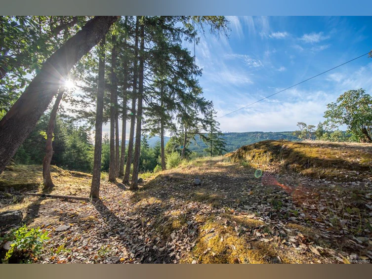 5876 Stoltze Road, Lake Cowichan, BC, V9L 6H7 - 65