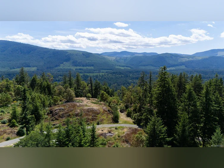 5876 Stoltze Road, Lake Cowichan, BC, V9L 6H7 - 21