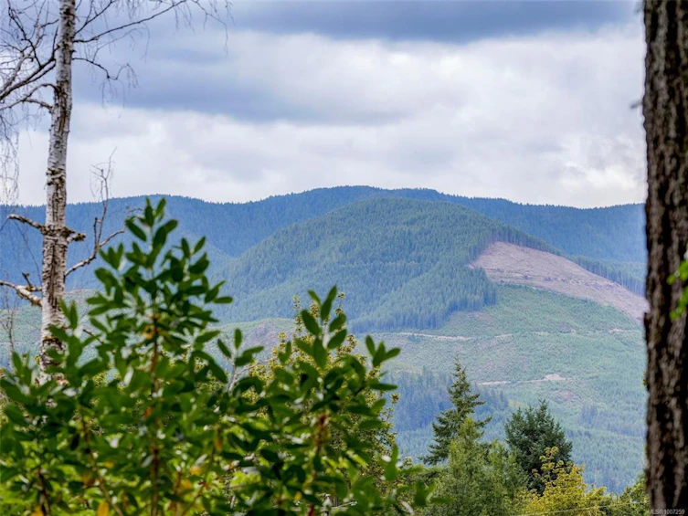 10572 Lupine Lane, Youbou, BC, V0R 3E1 - 33