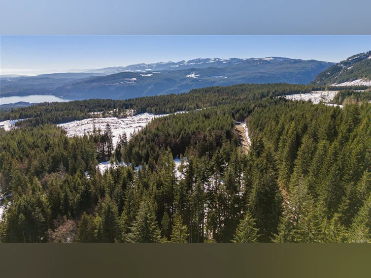 Lot 5 Forbidden Plateau Road, Courtenay, BC, V9J 1L2 - 34