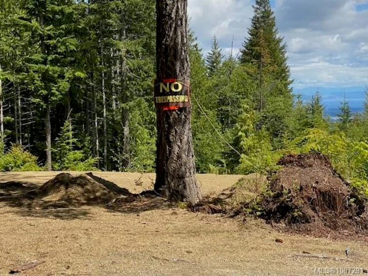 Lot 5 Forbidden Plateau Road, Courtenay, BC, V9J 1L2 - 3