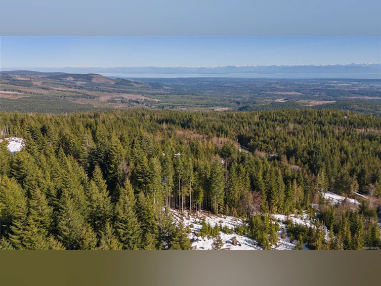 Lot 5 Forbidden Plateau Road, Courtenay, BC, V9J 1L2 - 29