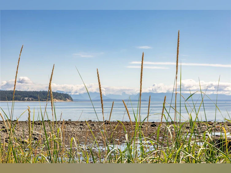 401-1392 S Island Highway, Campbell River, BC, V9W 1B7 - 64