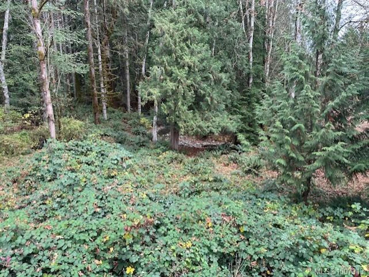 7353 Neva Road, Lake Cowichan, BC, V0R 2G0 - 14