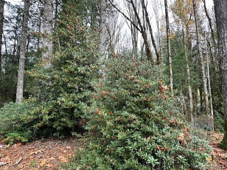 7353 Neva Road, Lake Cowichan, BC, V0R 2G0 - 10