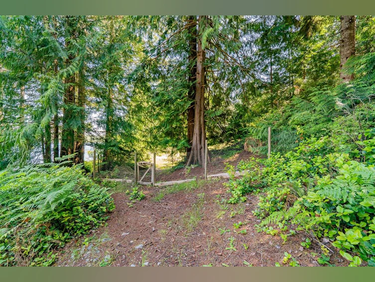 830 Austin Drive, Cortes Island, BC, V0P 1K0 - 70