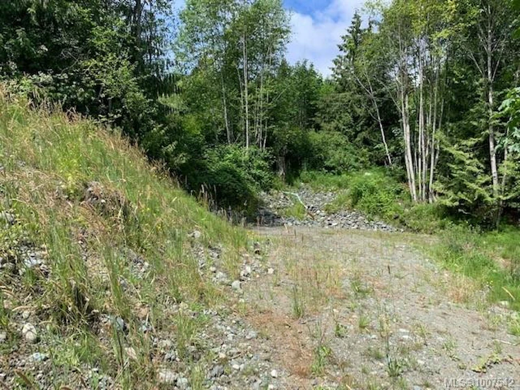 167 River Road, Lake Cowichan, BC, V0R 2G0 - 4