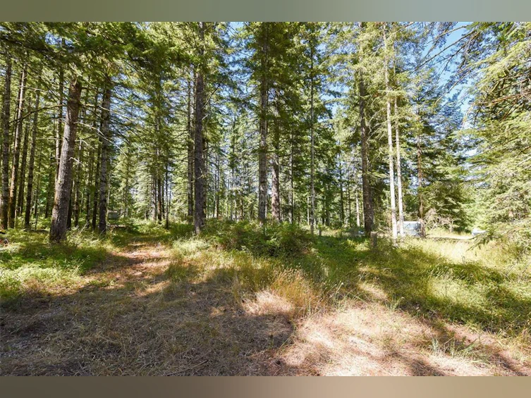 3476/3470 Heather Road, Black Creek, BC, V9J 1E5 - 73