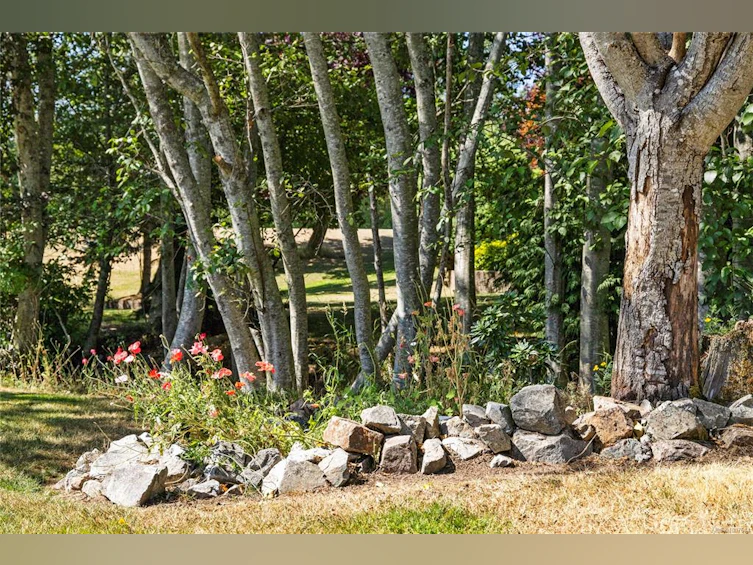 636 Morningstar Drive, French Creek, BC, V9P 2W3 - 48