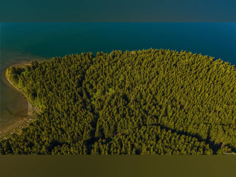 SL2 Kvarno Island, Ucluelet, BC, V0R 3A0 - 8