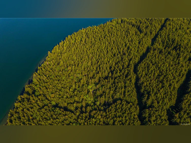 SL2 Kvarno Island, Ucluelet, BC, V0R 3A0 - 7