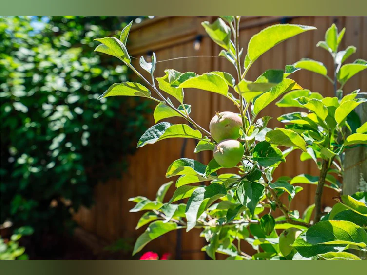 1250 Parkdale Creek Gardens, Langford, BC, V9B 4G9 - 34