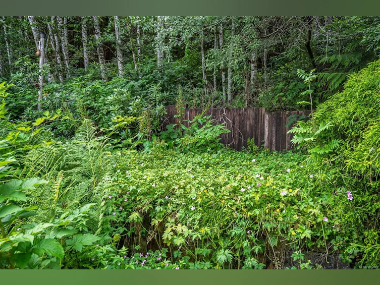 540 Macmillan Drive, Kelsey Bay/Sayward, BC, V0P 1R0 - 41